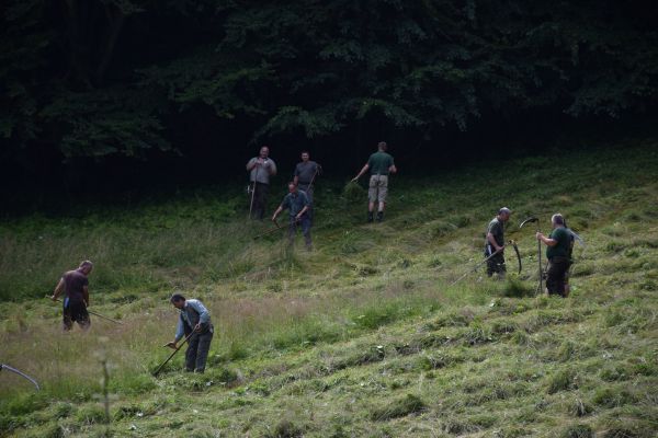 Lesníci a ochranári spoločne kosia lúku v Chránenom areáli Dolná Zálonská pod Poľanou 