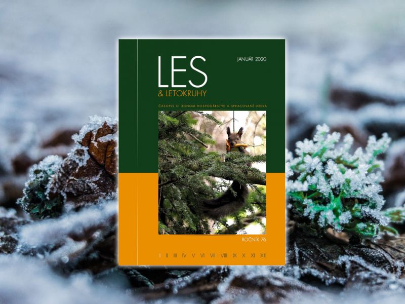 LES &amp; Letokruhy JANUÁR 2020