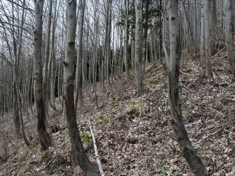 Ilustračné foto: Jozef Marko 