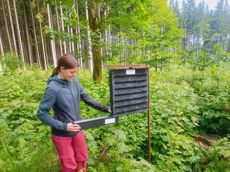 St&aacute;žistka z Franc&uacute;zska 