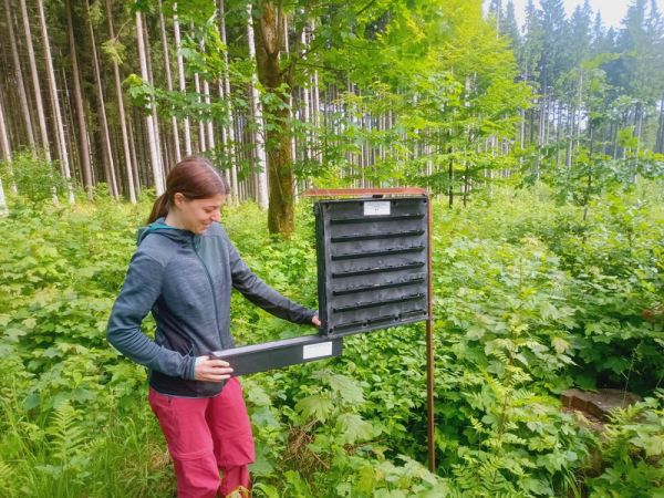 Stážistka z Francúzska 