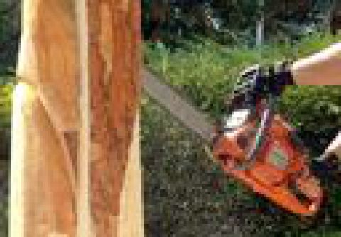 Predvedú sa majstri motorových píl