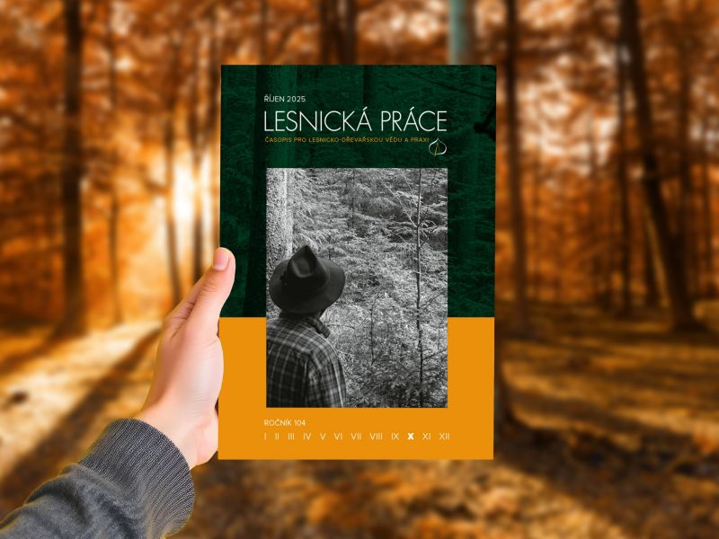 Lesnická práce 10/2025