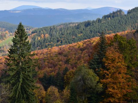 Ilustračné foto: Jozef Marko 