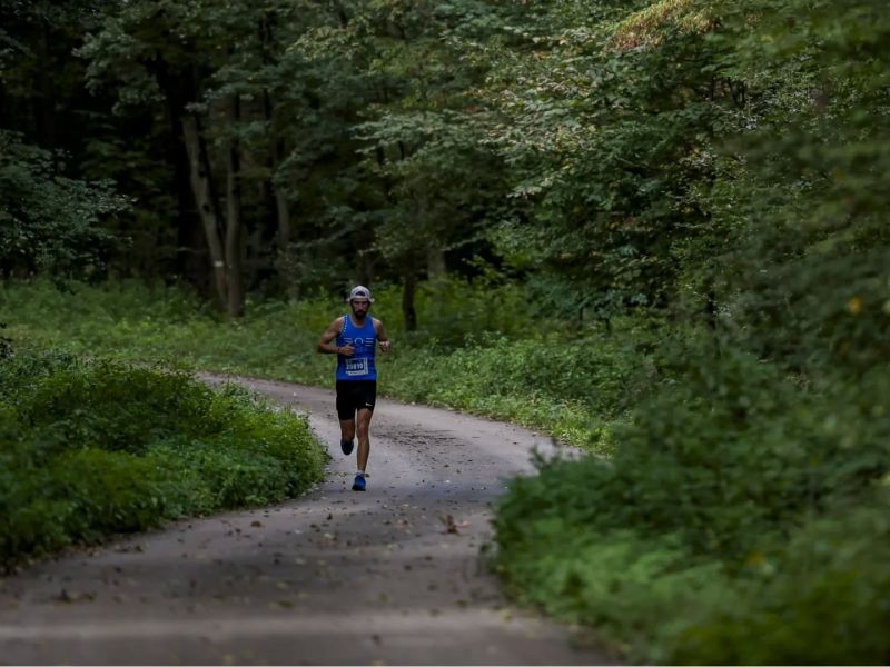 Ilustračn&eacute; foto: FB str&aacute;nka LESY SR &scaron;. p. 
