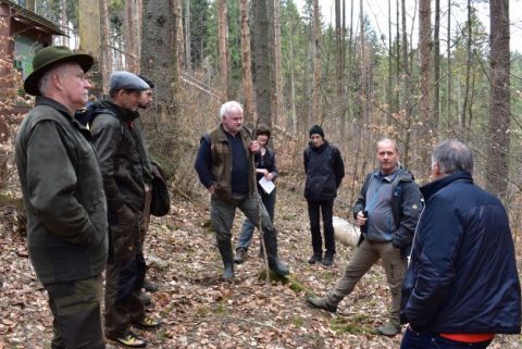 Odborníci diskutujú v Dobročskom pralese 