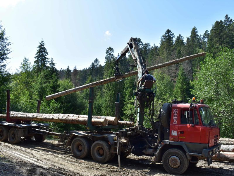 Ilustračn&eacute; foto: Jozef Marko 