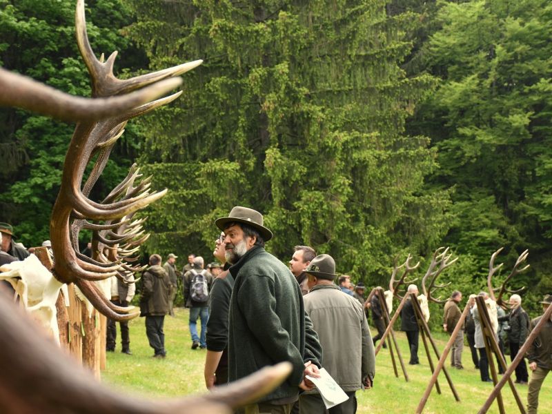 Prehliadka poľovníckych trofejí z CHPO Poľana 