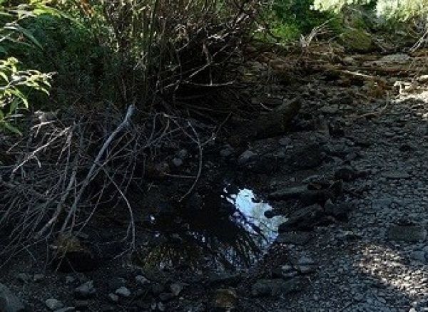 Barina v Rajeckej doline 