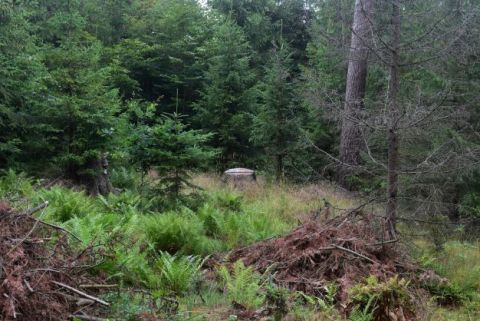 Ilustračné foto Jozef Marko