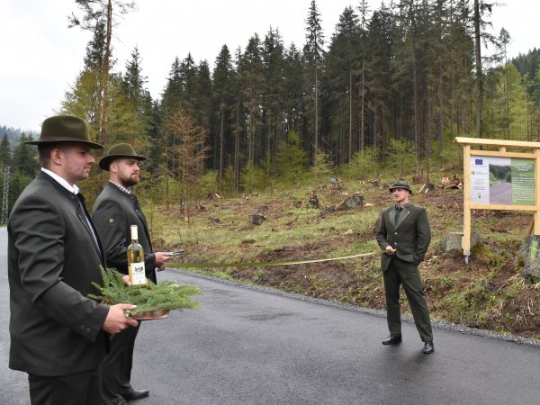 Zdroj: Internetová stránka LESY SR 