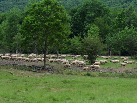 Ilustračné foto: Jozef Marko 