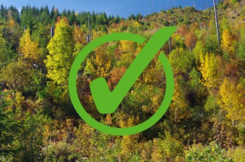 ÚNIA regionálnych združení vlastníkov neštátnych lesov Slovenska chce aj v národných parkoch zelené a zdravé lesy