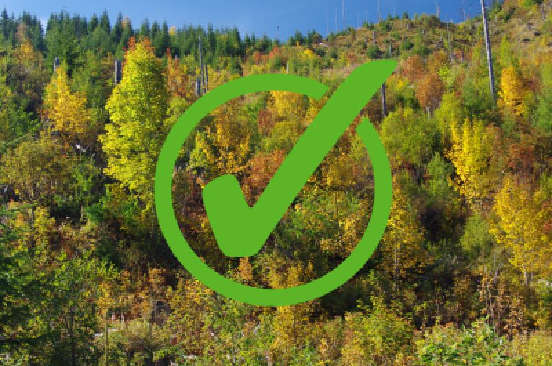 ÚNIA regionálnych združení vlastníkov neštátnych lesov Slovenska chce aj v národných parkoch zelené a zdravé lesy