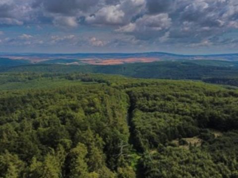 Pohľad na Ždánický les