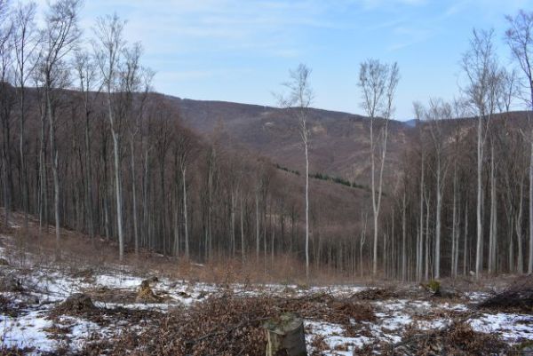 Ilustračn&eacute; foto Jozef Marko