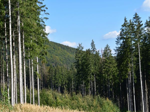 Ilustračn&eacute; foto: Jozef Marko 