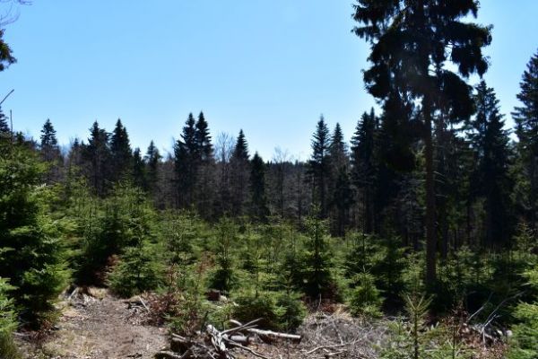 Ilustračn&eacute; foto Jozef Marko