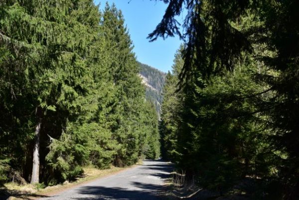 Cesta z Pribyliny do Račkovej doliny 