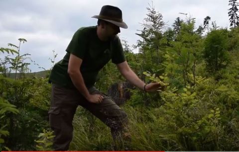 Slovenská lesnícka komora zverejnila zaujímavé video