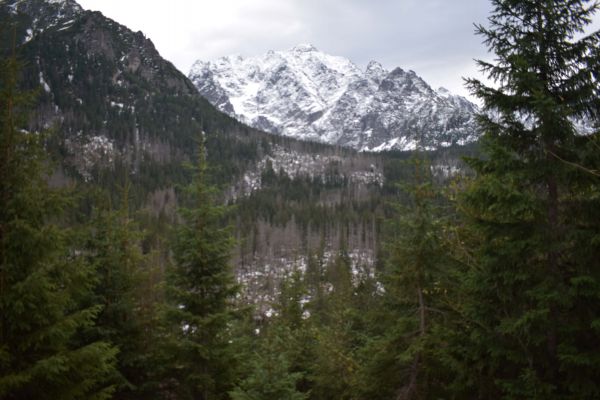 Ilustračné foto: Jozef Marko 