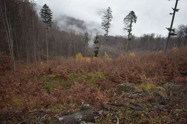 Ilustračn&eacute; foto Jozef Marko