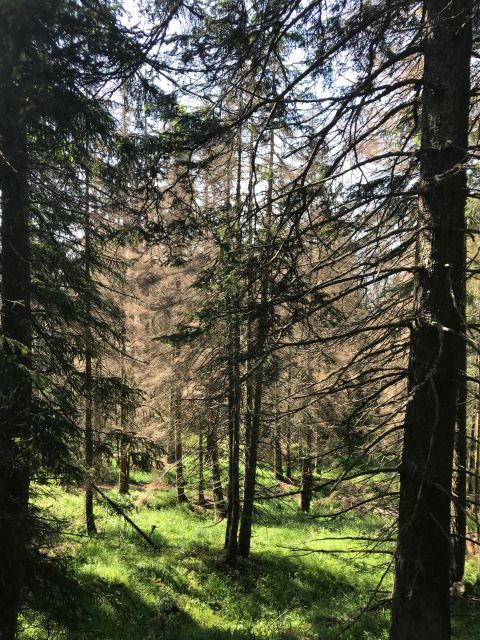 Ilustračné foto Peter Staroň