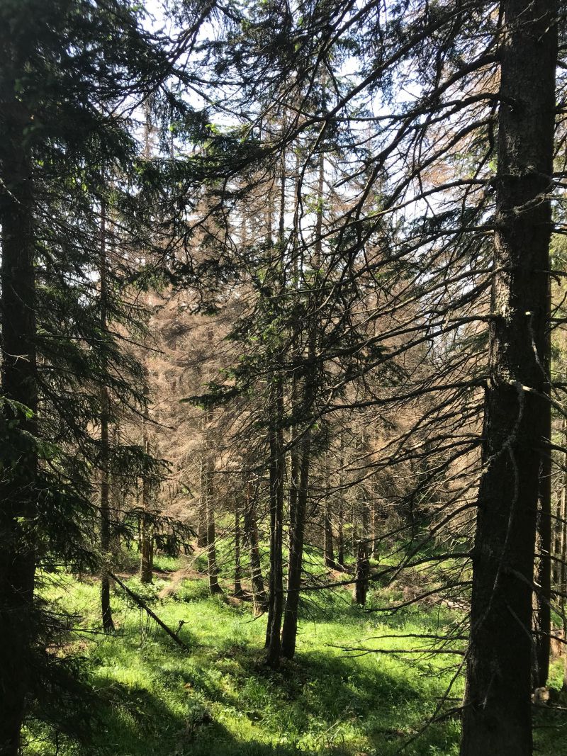 Ilustračné foto Peter Staroň