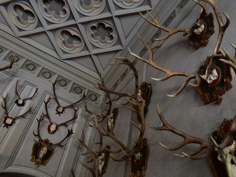 Ilustračné foto: Jozef Marko 