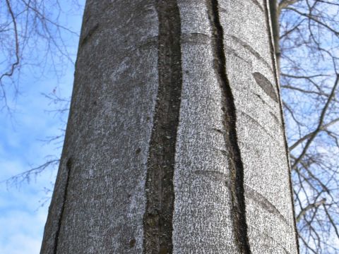 Ilustračné foto: Jozef Marko 