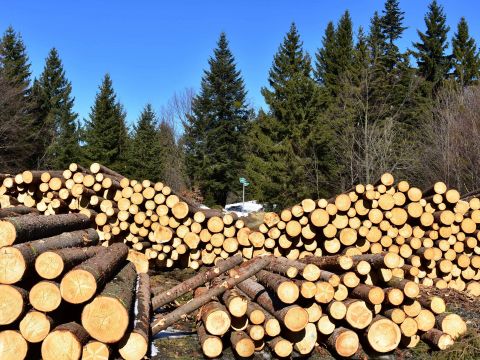 Ilustračné foto: Jozef Marko 