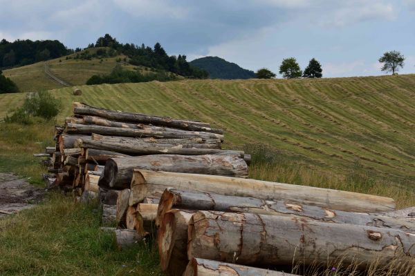 Ilustračn&eacute; foto: Jozef Marko 