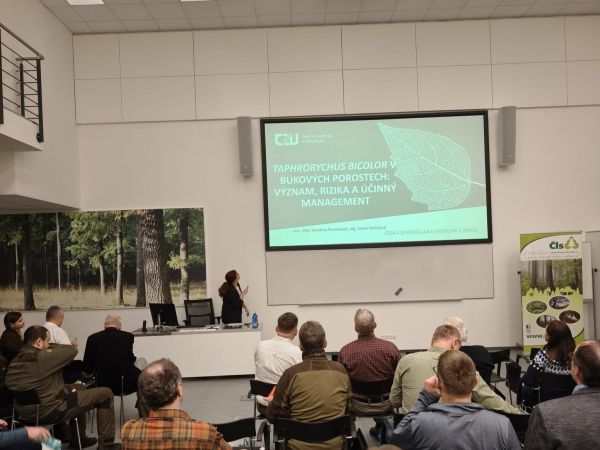 Momentka z odborn&eacute;ho semin&aacute;ra 