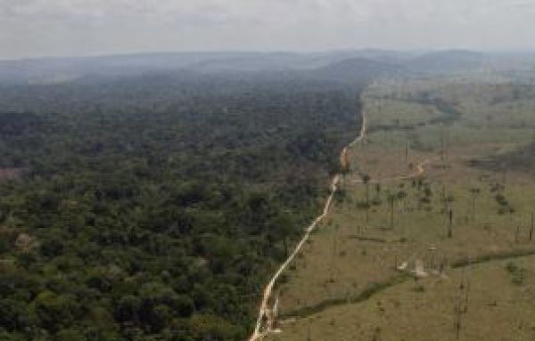 Svetov&eacute; pralesy r&yacute;chlo mizn&uacute;