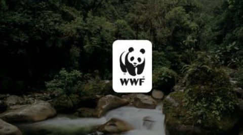 WWF vydalo správu o stave planéty
