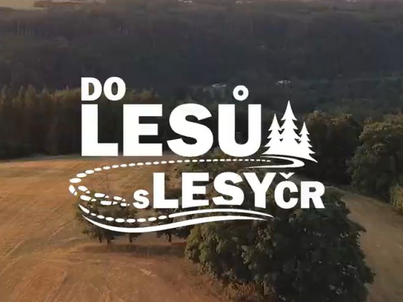 Zdroj: Internetov&aacute; str&aacute;nka Lesy ČR