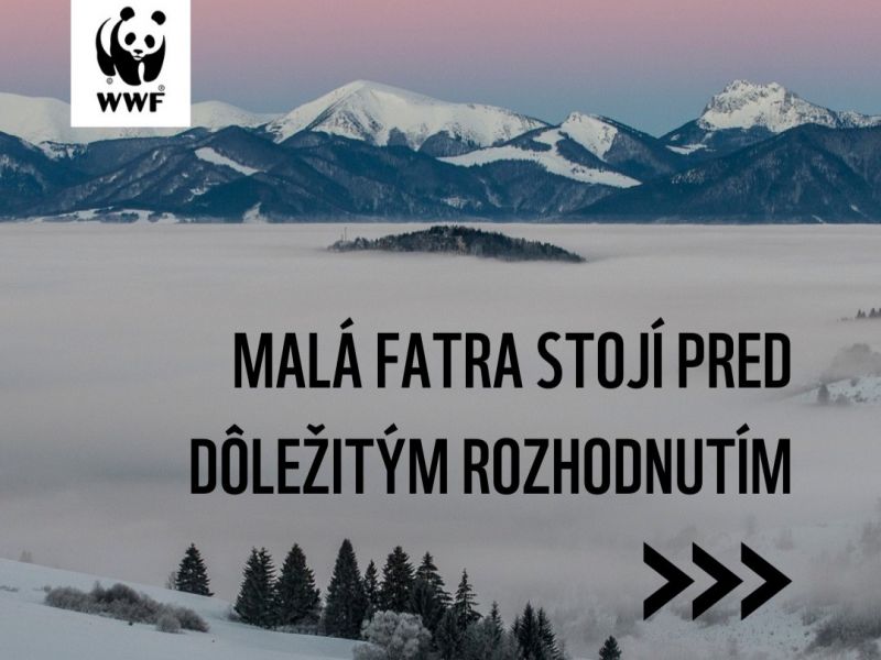 Zdroj: FB str&aacute;nka WWF Slovakia 
