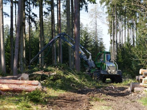 Zdroj: Internetová stránka Lesy ČR