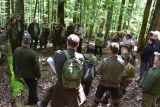 Lesníci a ochranári diskutujú priamo na mieste o ďalšom osude Bujanovskej dubiny