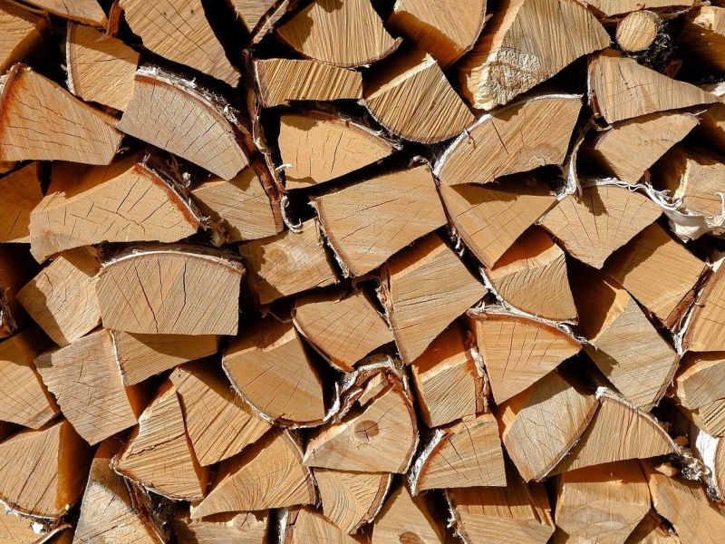 Palivov&eacute; drevo 