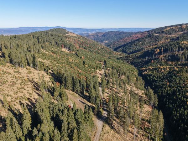 Obnovené požiarisko na Čiernej Hore v Levočských vrchoch
