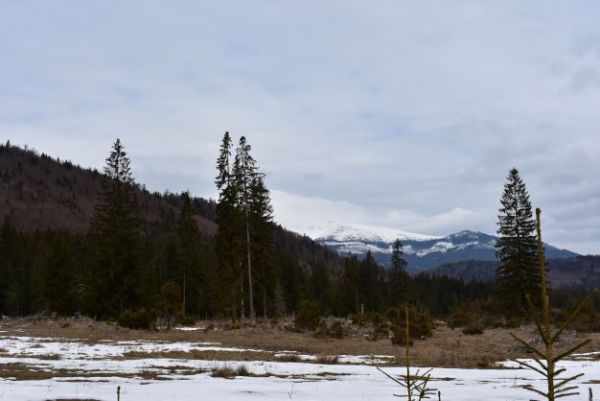 Ilustračn&eacute; foto Jozef Marko