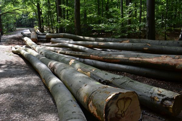 Ilustračné foto: Jozef Marko 