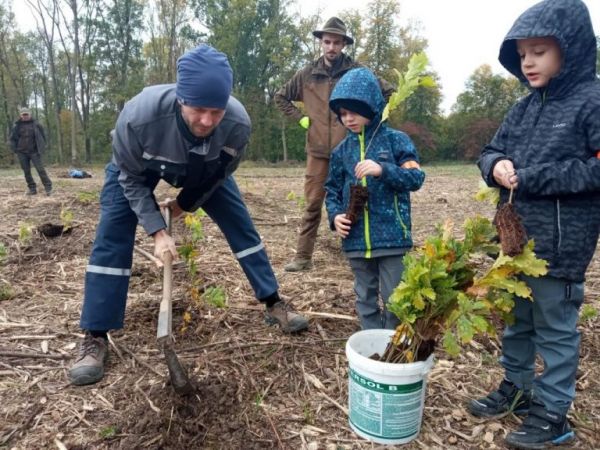 Ilustračné foto: internetová stránka Lesy ČR 