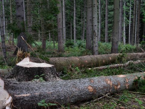 Ilustračné foto: Jozef Marko 