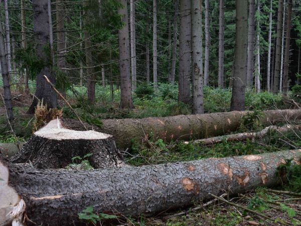 Ilustračné foto: Jozef Marko 