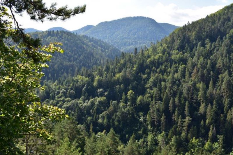 Ilustračné foto Jozef Marko