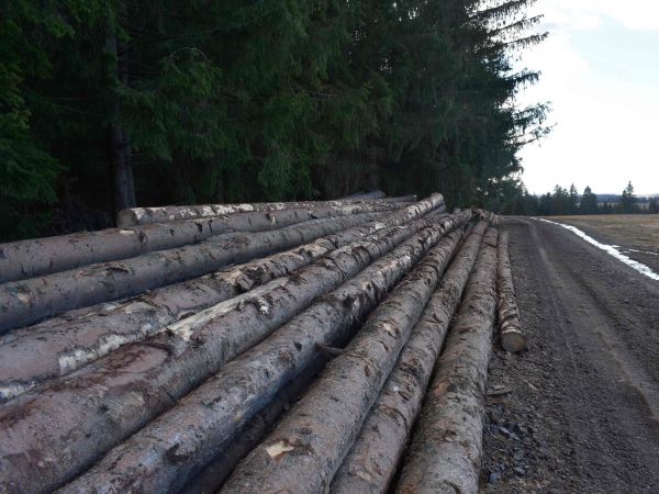 Ilustračné foto: Jozef Marko 