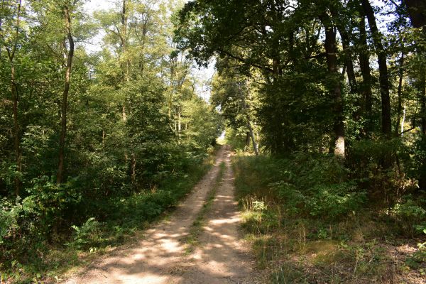 Ilustračn&eacute; foto: Jozef Marko 