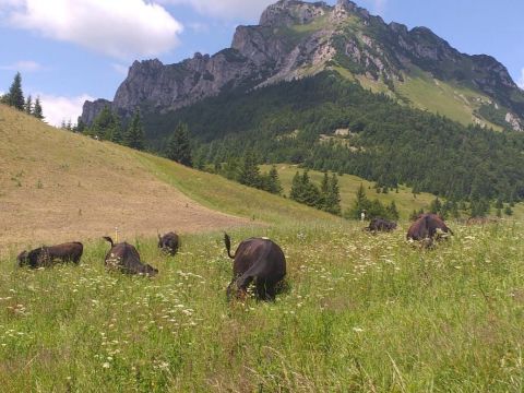 Zdroj: FB stránka ÚRZVNLS